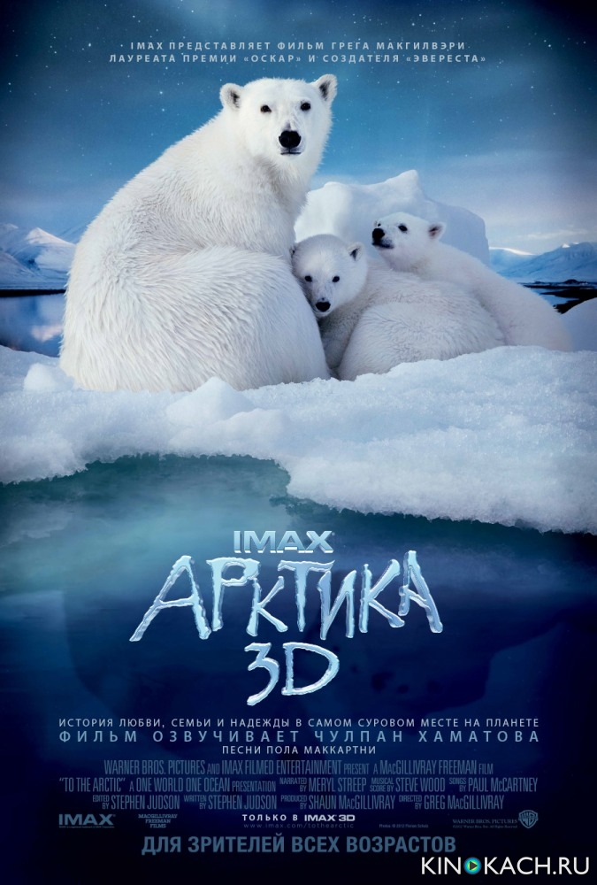 to the arctic 3d torrent